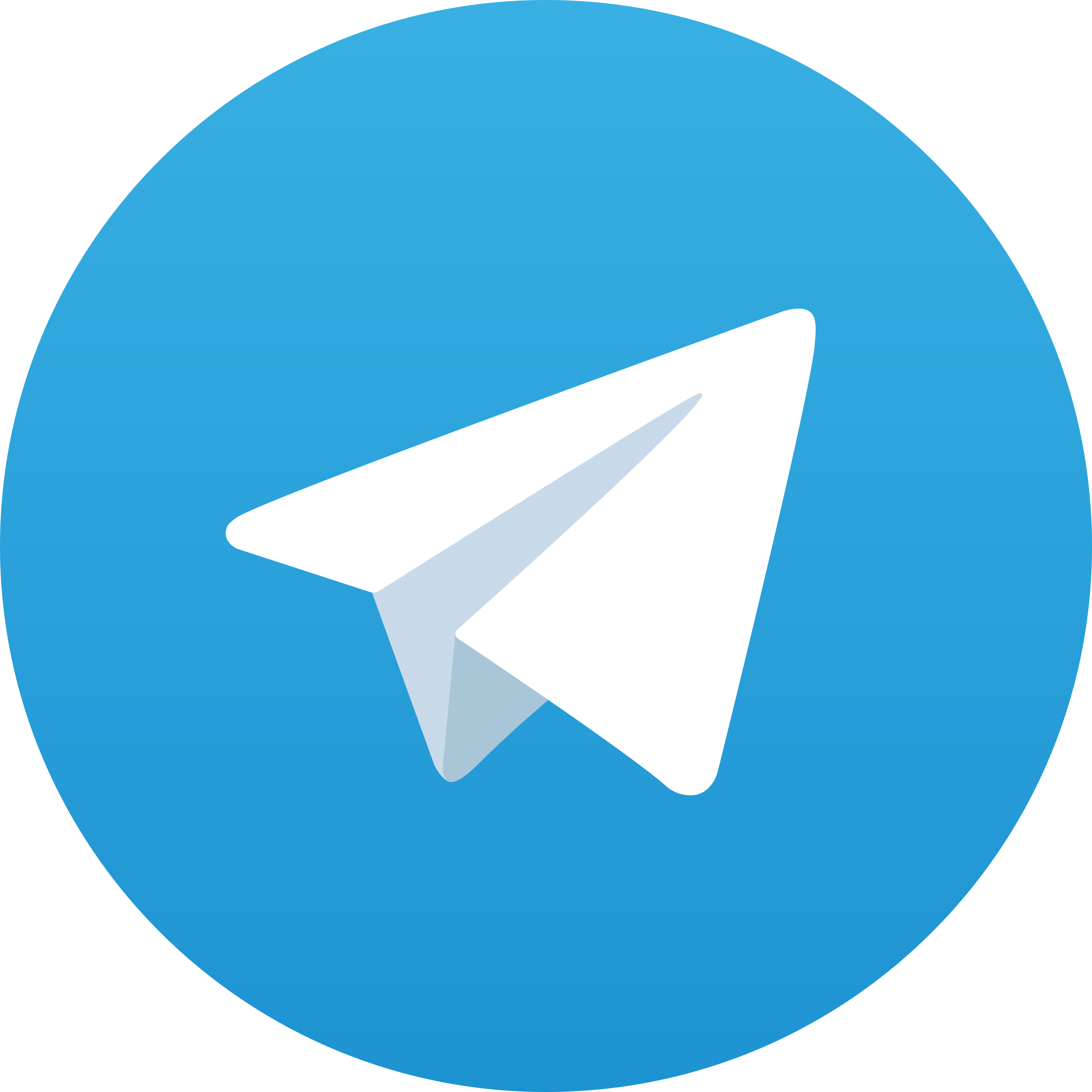 Telegram Fast303
